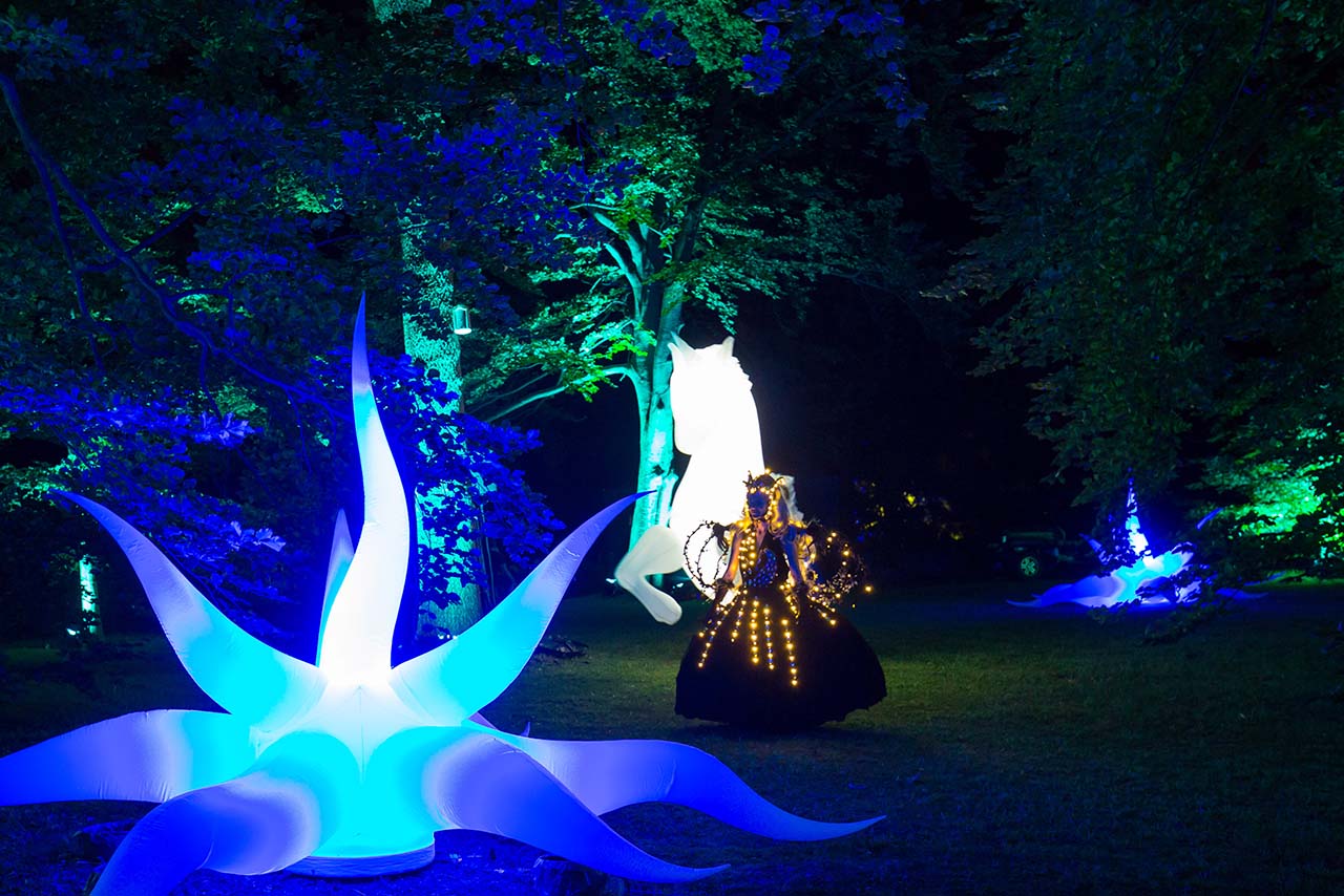 Zauberwald Lichterfest Stuttgart